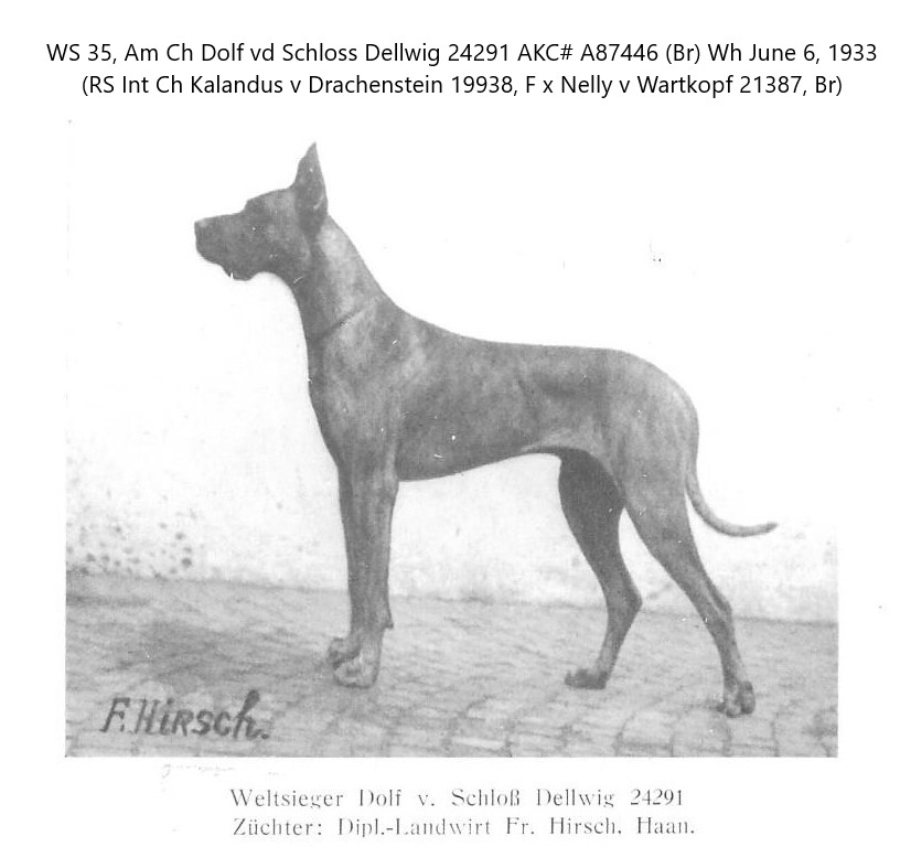 Dolf v Schloss Dellwig